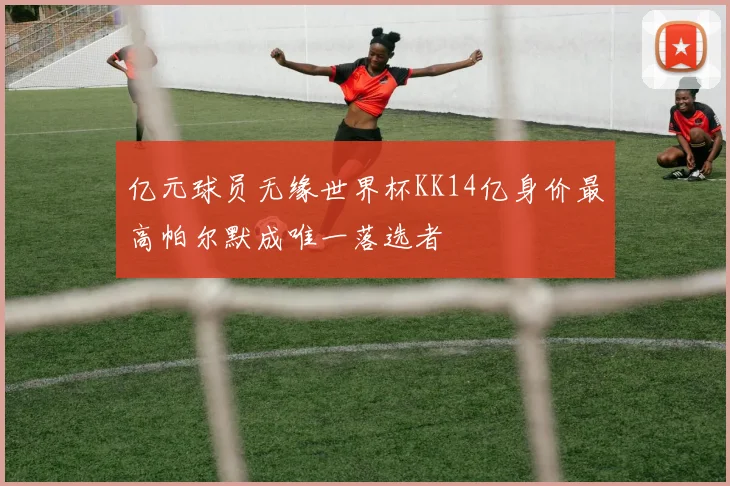 亿元球员无缘世界杯KK14亿身价最高帕尔默成唯一落选者